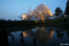 こげんかとこです