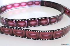 歯医者さんのポジ 歯医者さんのポジ