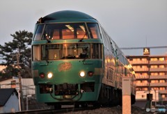 夕陽の中