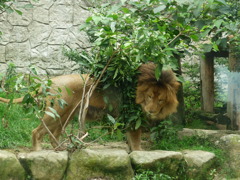 なんばしょっと