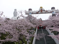 わあ、枝が顔に