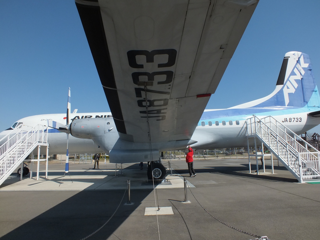 ＹＳ－１１