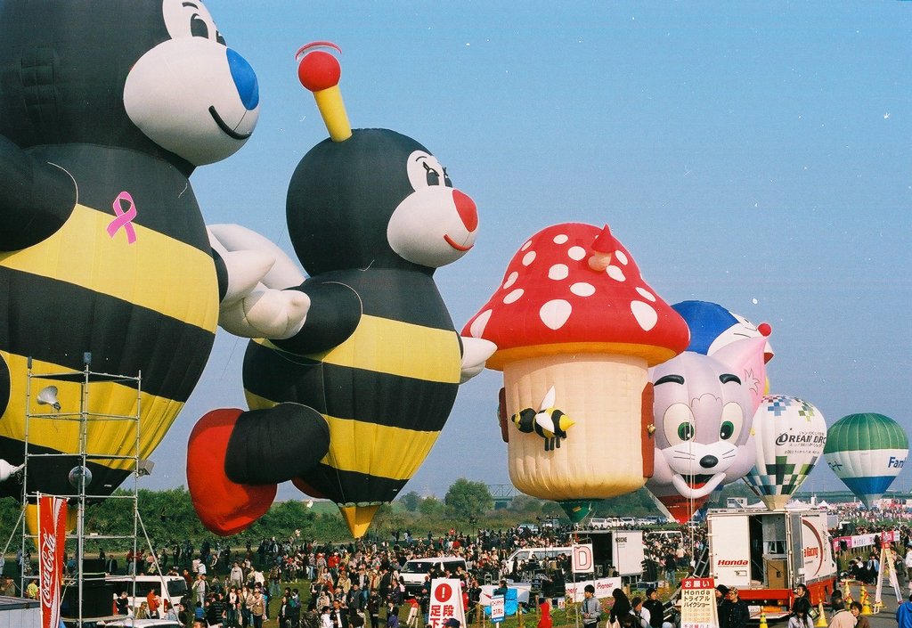 はちかけには１６