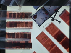 今日のお客さん