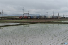 カレンダーコンテスト