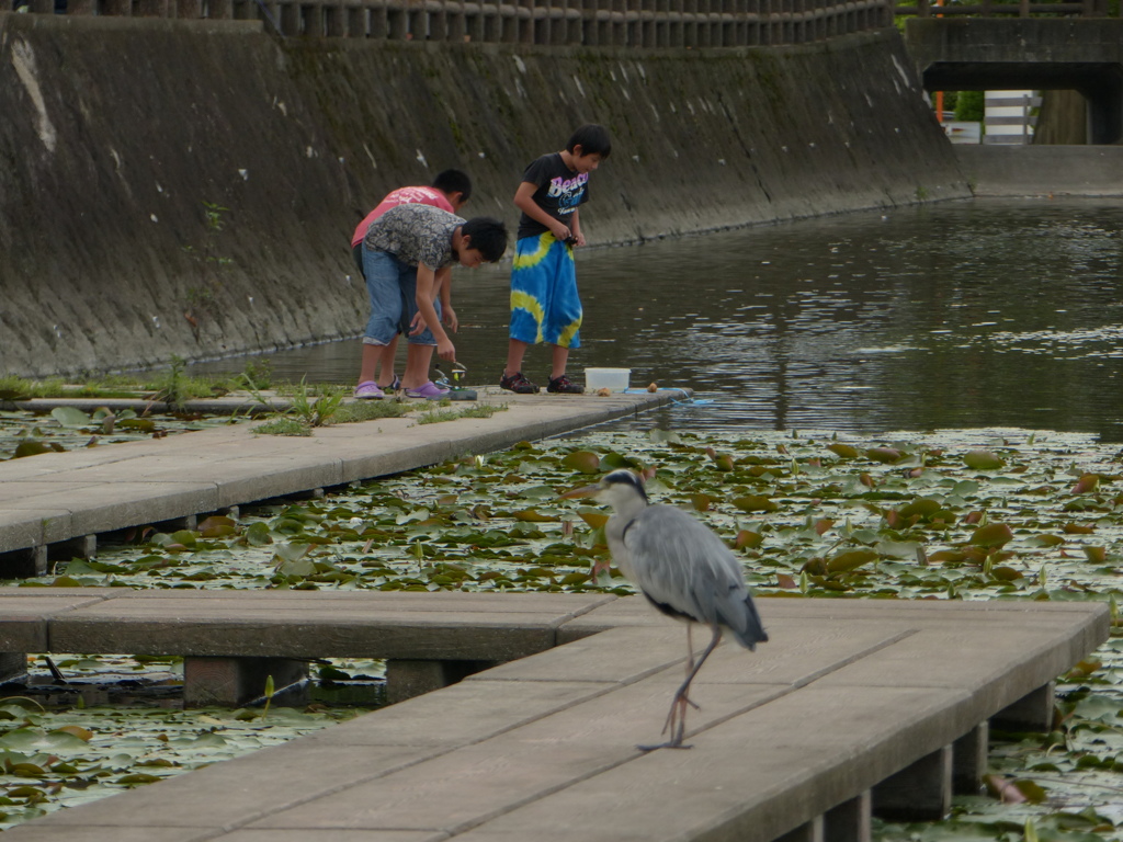 そーと行かないと