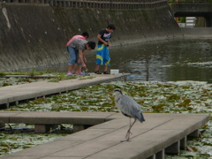 そーと行かないと
