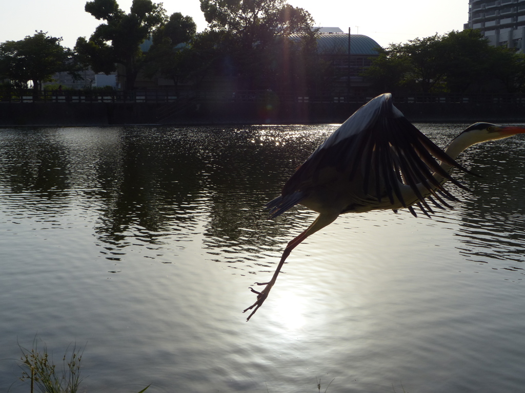 もう一回飛んでみよう