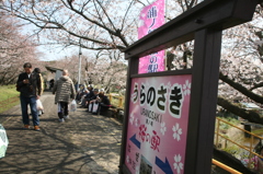 いつもは無人駅