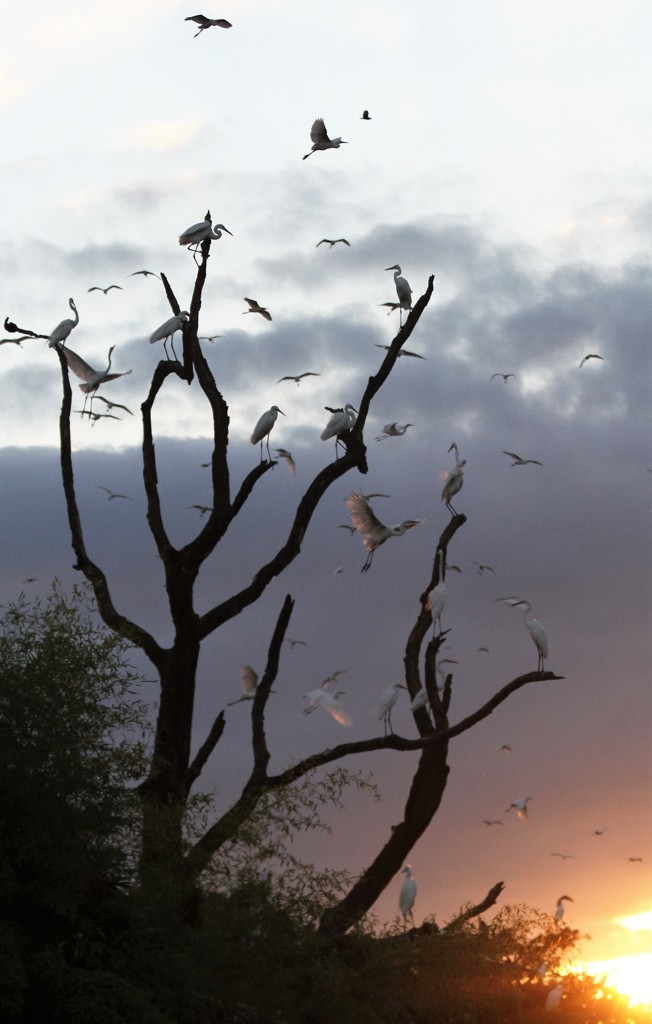 ちょっとアートに