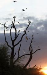 ちょっとアートに