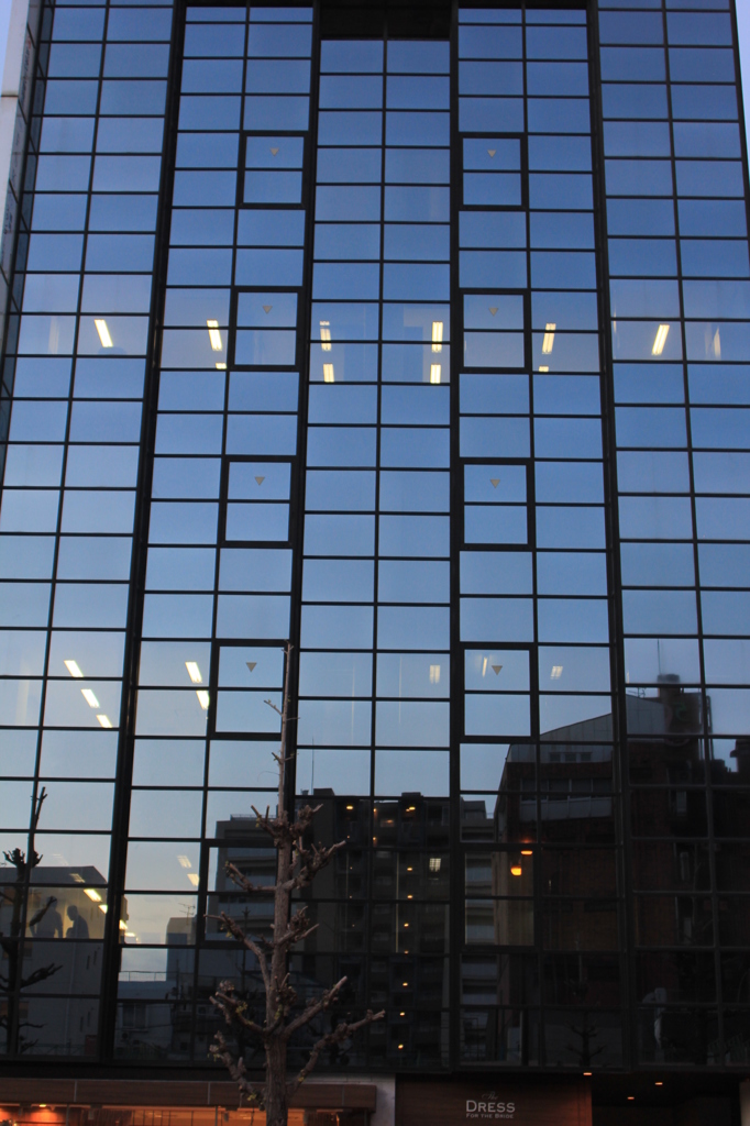 きれいになったね