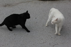 クリントンVSトランプ