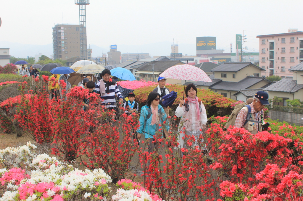 頑張りましょう