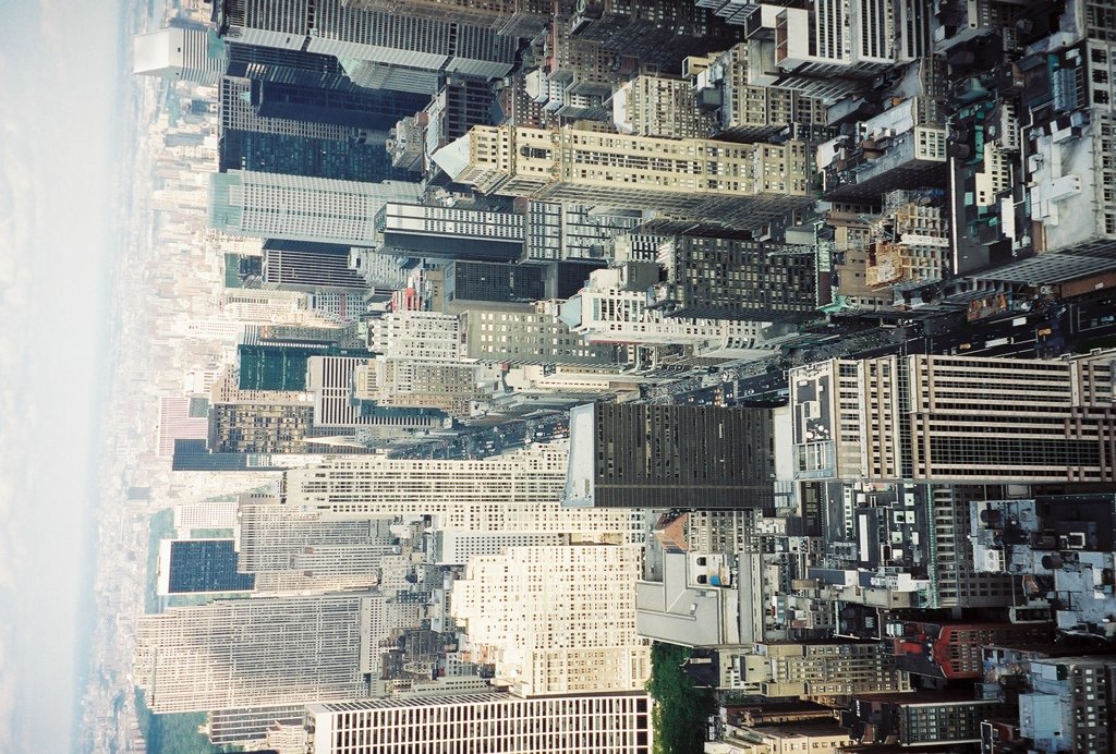 すごい大統領ができた