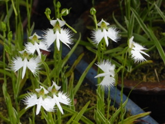 以前の分ですが