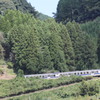 山の中