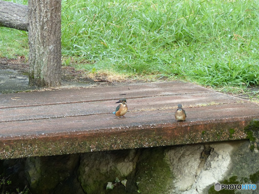 こんにちは