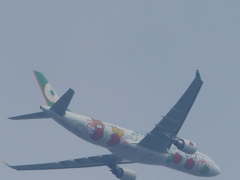 あんなに飛べたらいいけど