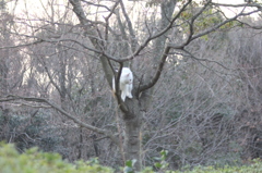 おりれないよ３