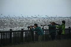 どこにピント合わせたら