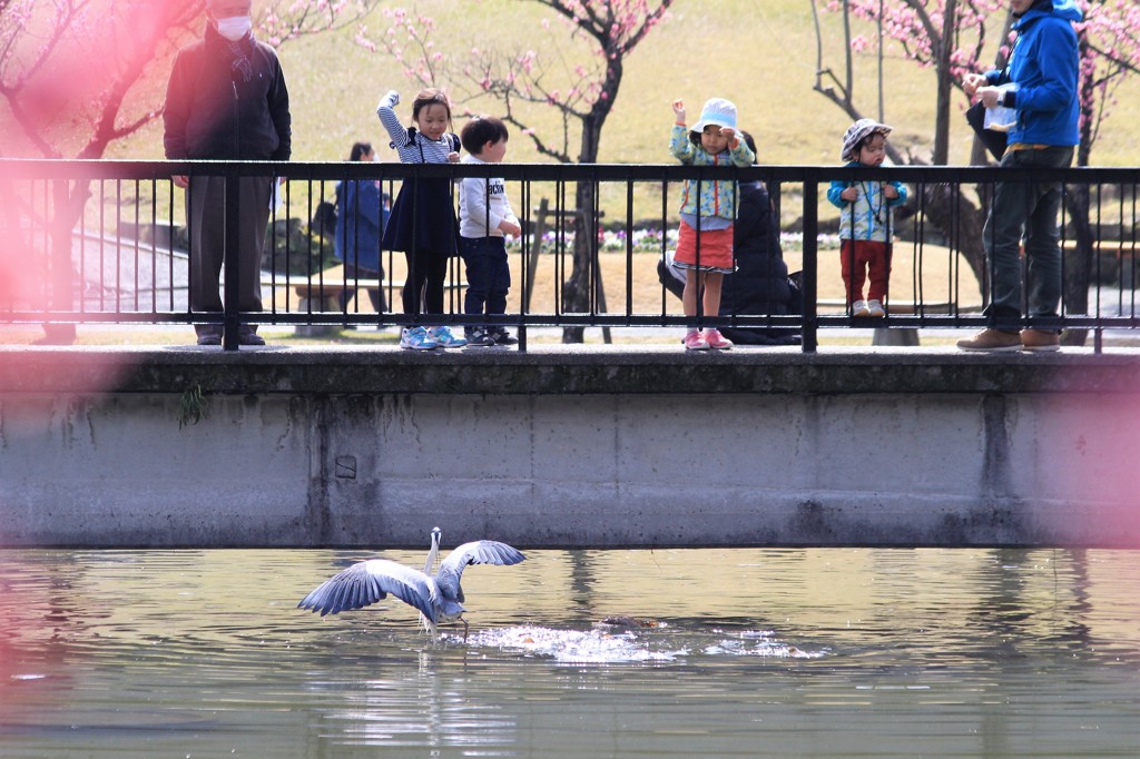 青ちゃん公園で