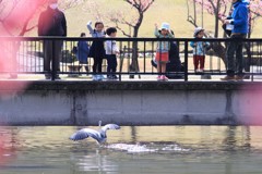 青ちゃん公園で