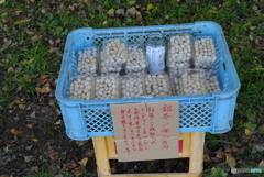 セルフコーナー