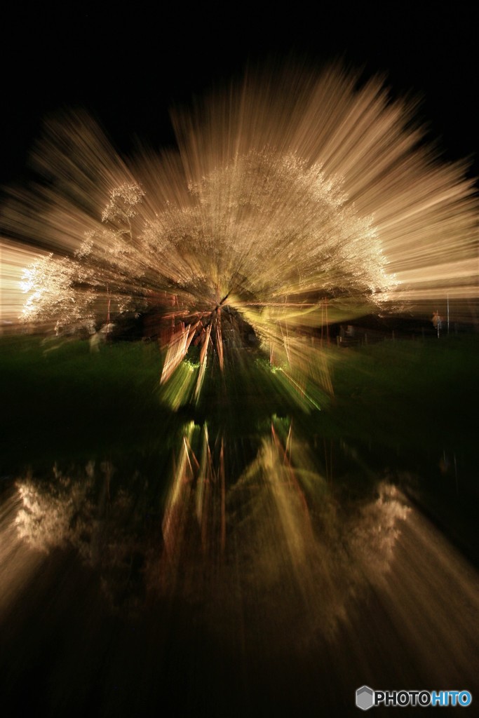 写真は爆発だー