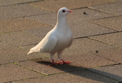 きれいに撮ってね