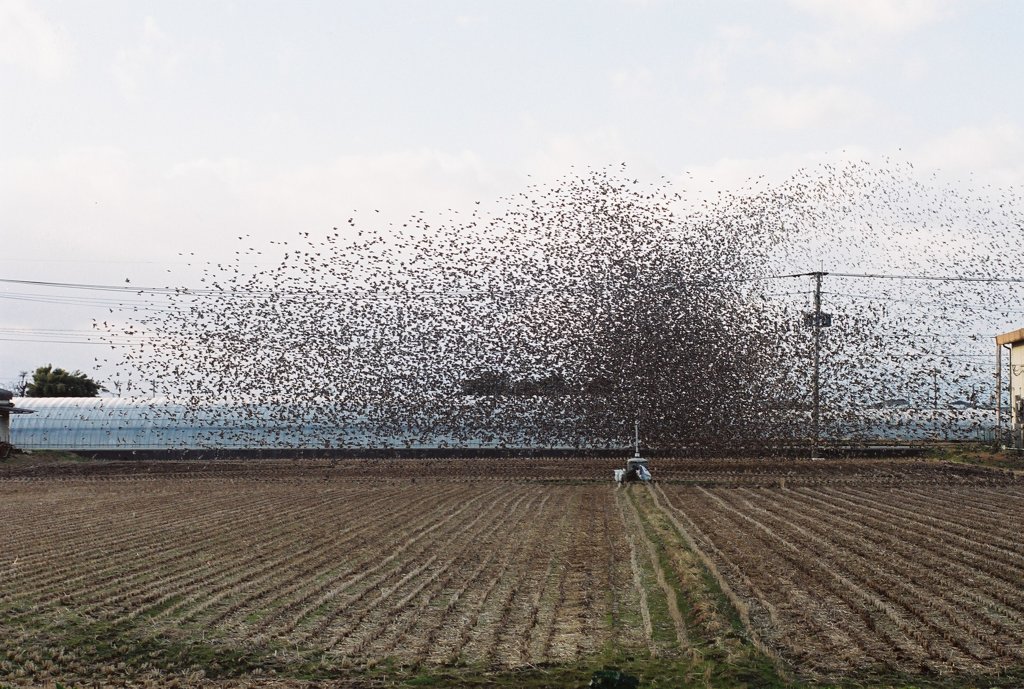 昔の写真ですが