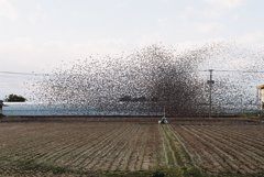 昔の写真ですが