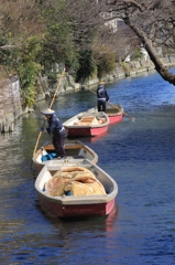 ここで泳いでました