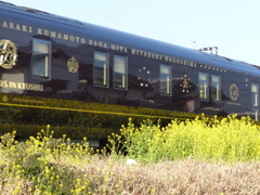 走る宝石ですよ