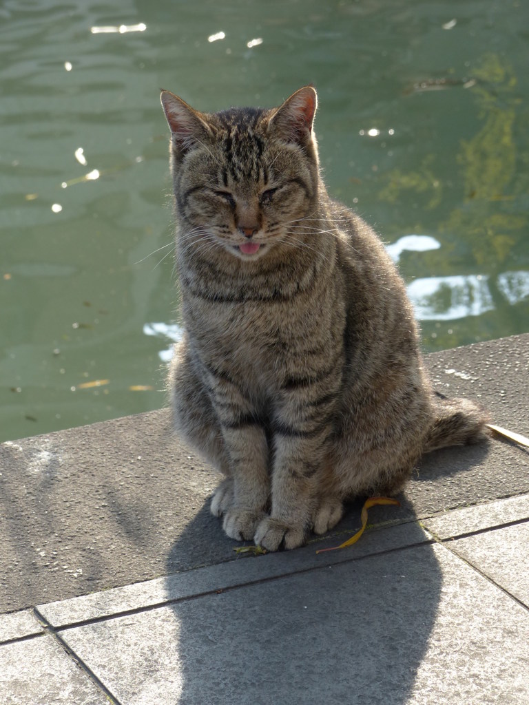 ポートレート