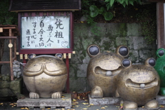 かえる寺