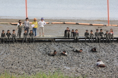 すごい執念