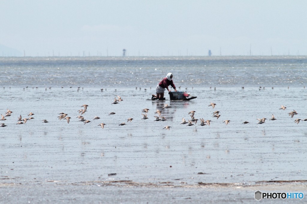 なに取ってるのかな