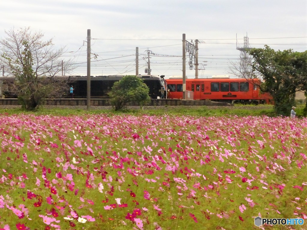 ハウステンボス号も