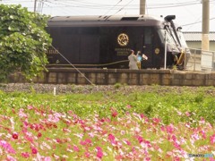 乗りたいね