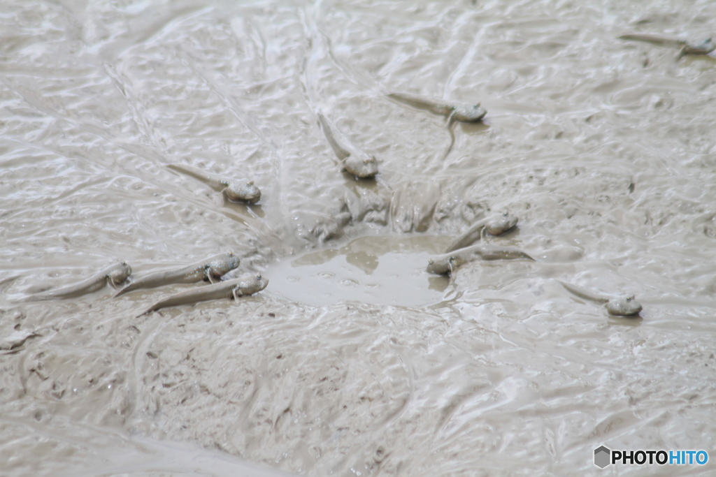 朝のミーティング