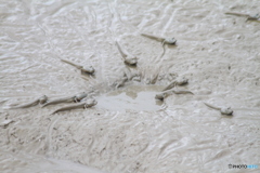 朝のミーティング