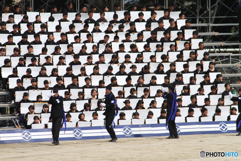 白い君あっぱれ