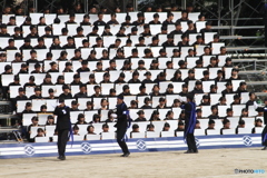 白い君あっぱれ