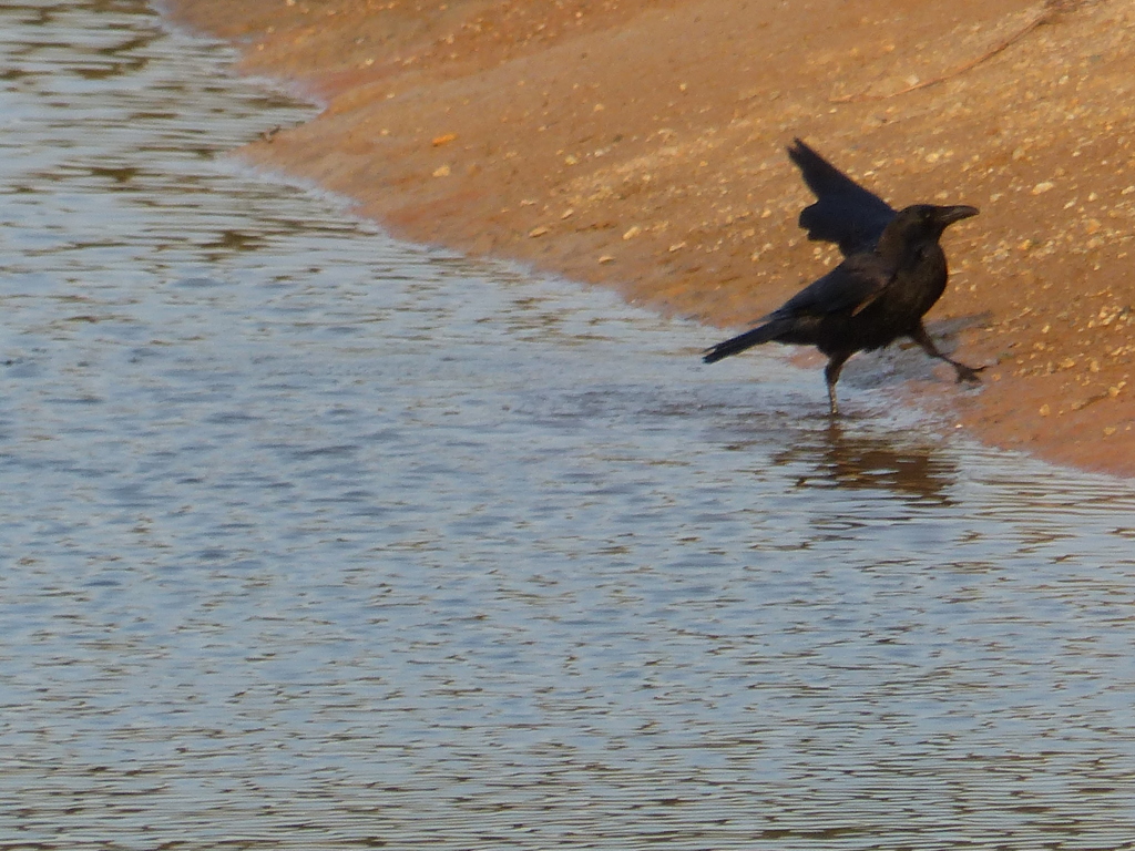 おっと冷たい。