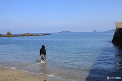 火曜サスペンス