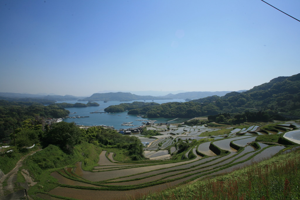 棚田なんだな