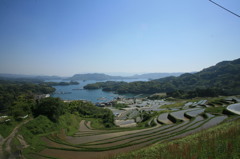 棚田なんだな