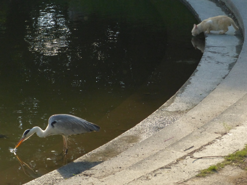 今日は暑かったね。