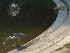 今日は暑かったね。